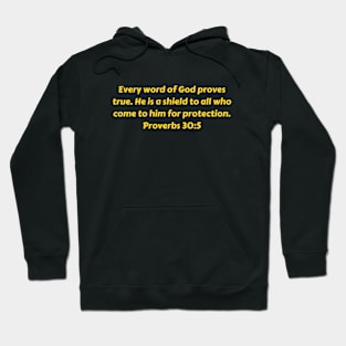 Bible Verse Proverbs 30:5 Hoodie